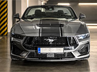 mustang-pruhy-predek