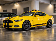 mustang-zluty-pruhy-2